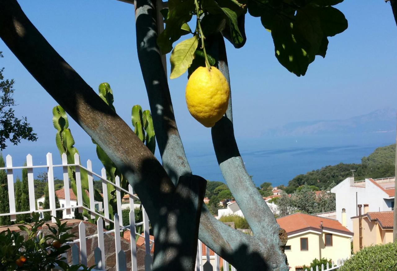 B&B Nonnangela Maratea Εξωτερικό φωτογραφία