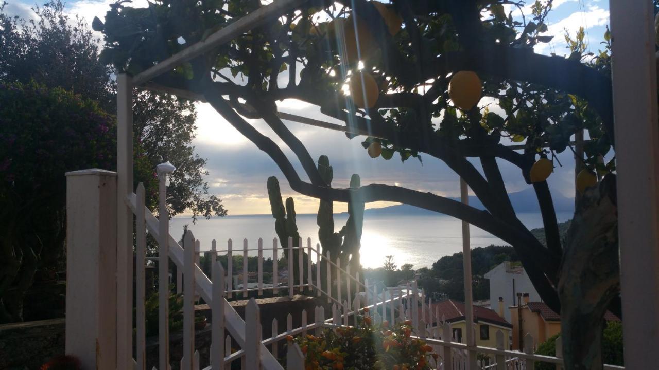 B&B Nonnangela Maratea Εξωτερικό φωτογραφία