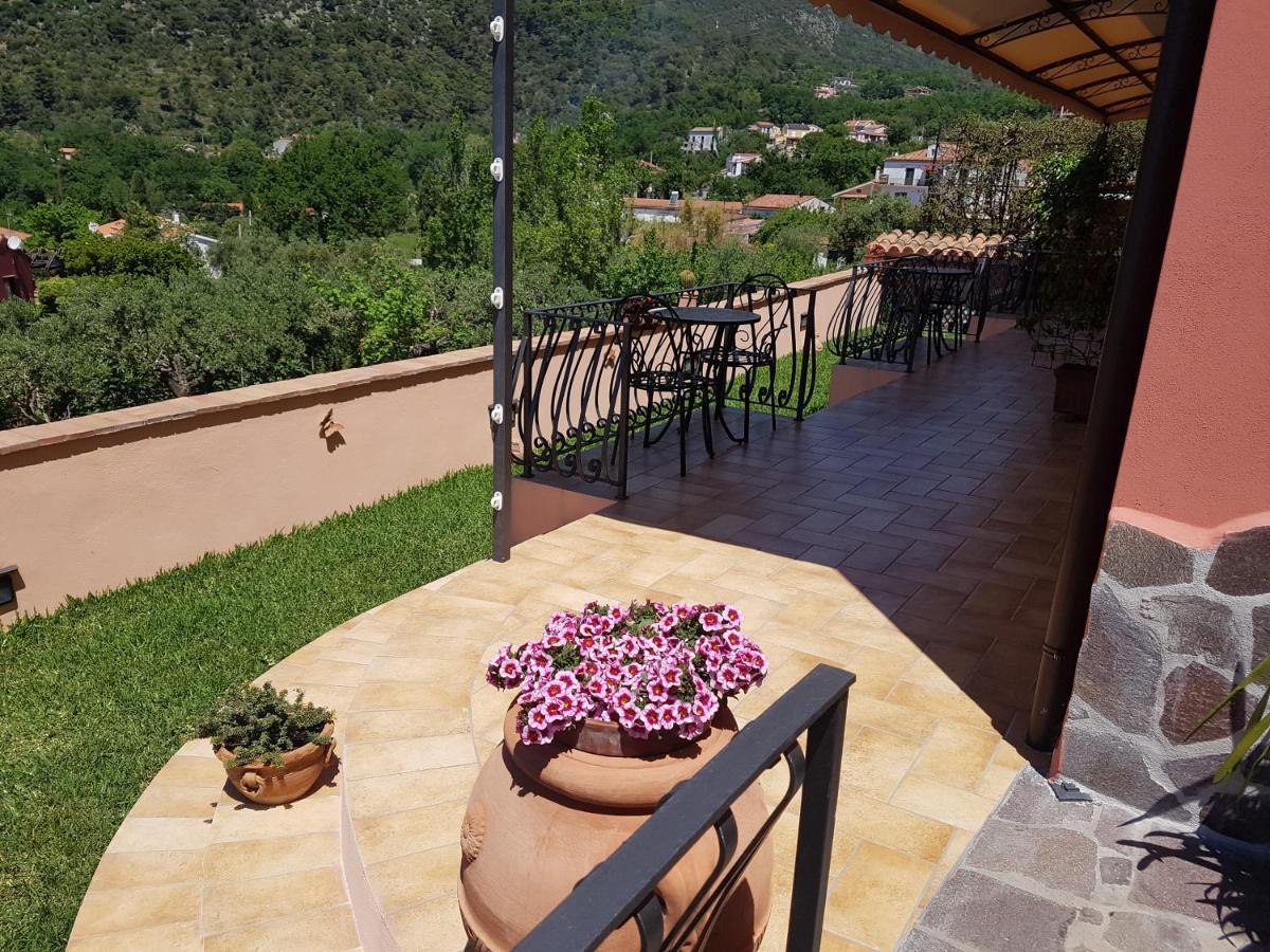 B&B Nonnangela Maratea Εξωτερικό φωτογραφία